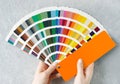 Appartment renovation concept. Female hands holding colors palette fan on a concrete wall background Royalty Free Stock Photo