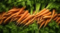 appealing fresh carrot background