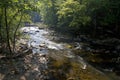 Appealing, Sunlit River