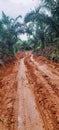 the appearance of badly damaged, potholed and muddy dirt roads