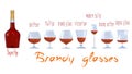 Appearance and names of the main types of brandy glasses Royalty Free Stock Photo