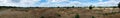 Appelscha, Drenthe, Netherland -Extra large panoramic view over the sand hills of the Drents-Fries Wold National park Royalty Free Stock Photo