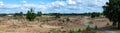 Appelscha, Drenthe, Netherland -Extra large panoramic view over the sand hills of the Drents-Fries Wold National park Royalty Free Stock Photo