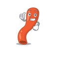 Appendix cartoon character design showing OK finger