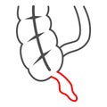Appendix is inflamed thin line icon, body pain concept, acute appendicitis vector sign on white background, outline