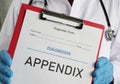 Appendix is shown using the text. Medical diagnosis