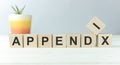 APPENDIX word made with building blocks