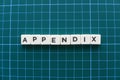 Appendix word made of square letter word on green background.