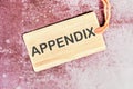 Appendix word written on a card with a rope on an abstract background