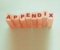 appendix word written on wood block. appendix text on table, concept Royalty Free Stock Photo