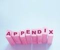 appendix word written on wood block. appendix text on table, concept Royalty Free Stock Photo