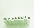 appendix word written on wood block. appendix text on table, concept Royalty Free Stock Photo