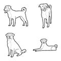 Appenzeller Sennenhunde Animal Vector Illustration Hand Drawn Cartoon Art