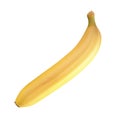 Appetite yellow banana