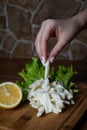 Appetizer for beer, white cheese pigtail on a wooden plate.