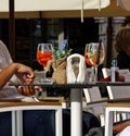 Appetizer drinks on bar table outdoor Royalty Free Stock Photo