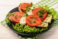 Appetizer - grilled eggplants with mozzarella and tomatoes. Royalty Free Stock Photo