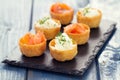 Appetizer salmon with fresh cheese Royalty Free Stock Photo