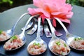 Appetizer served in spoons Royalty Free Stock Photo