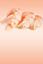 Appetizer shrimps Royalty Free Stock Photo