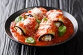 Appetizer of stuffed eggplant with ricotta cheese in tomato sauce close-up in a plate. horizontal Royalty Free Stock Photo