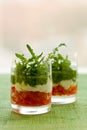 Appetizer with tomato,cheese and pesto