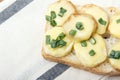 Appetizer of wheat bread, potatoes, cheese and green onions Royalty Free Stock Photo