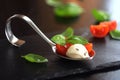 Appetizers with mozzarella and tomato on spoon - selective focus Royalty Free Stock Photo