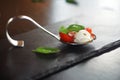 Appetizers with mozzarella and tomato on spoon - selective focus Royalty Free Stock Photo