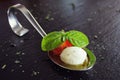 Appetizers with mozzarella and tomato on spoon - selective focus Royalty Free Stock Photo