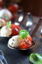 Appetizers with mozzarella and tomato on spoon - selective focus Royalty Free Stock Photo