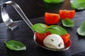 Appetizers with mozzarella and tomato on spoon - selective focus Royalty Free Stock Photo