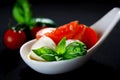 Appetizers with mozzarella and tomato on white spoon - selective focus Royalty Free Stock Photo