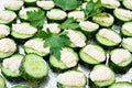 Appetizers from slices of fresh cucumbers and cream cheese sauce with sprigs of parsley lying on a tray