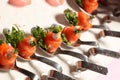 Appetizers smoked salmon and cream Royalty Free Stock Photo
