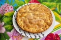 Apple pie on a plate Royalty Free Stock Photo