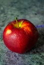 Appetizing apple in the rays of light Royalty Free Stock Photo