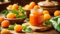 Appetizing apricot jam the kitchen healthy juicy fresh rustic food marmalade sweet