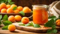 Appetizing apricot jam d dessert healthy juicy fresh rustic food marmalade sweet