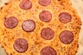 Appetizing background pepperoni pizza closeup filling the frame