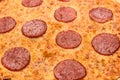 Appetizing background pepperoni pizza closeup filling the frame