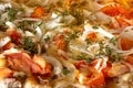 Appetizing background pepperoni pizza closeup filling the frame