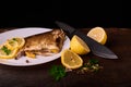 Appetizing baked fish, covered with juicy lemons, garlic and salt on side, above view Royalty Free Stock Photo