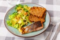 Appetizing salmon with a vegetable salad Royalty Free Stock Photo