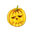 The appetizing beautiful pumpkin for Halloween