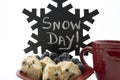 Appetizing blueberry scones start wintry snow day