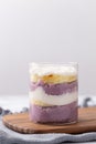 Appetizing blueberry trifle dessert in a glass cup, offering plenty of copy space