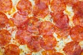 Appetizing bright pepperoni pizza closeup filling the frame. Royalty Free Stock Photo