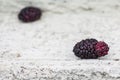 Appetizing brown red mulberry ripened and fell from the tree directly onto the asphalt.