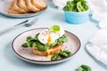 Appetizing bruschetta with poached egg and spinach on a plate. Keto diet